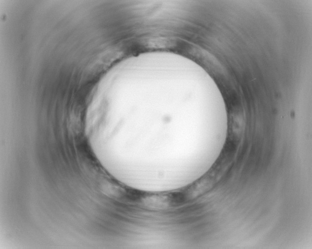 X0000088150422200705291427