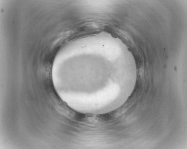 X0000088150423200705291427