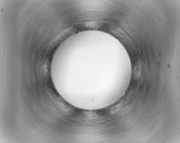 X0000088150424200705291427