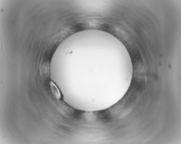 X0000088150425200705291427