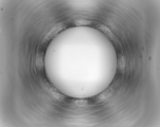 X0000088150426200705291427