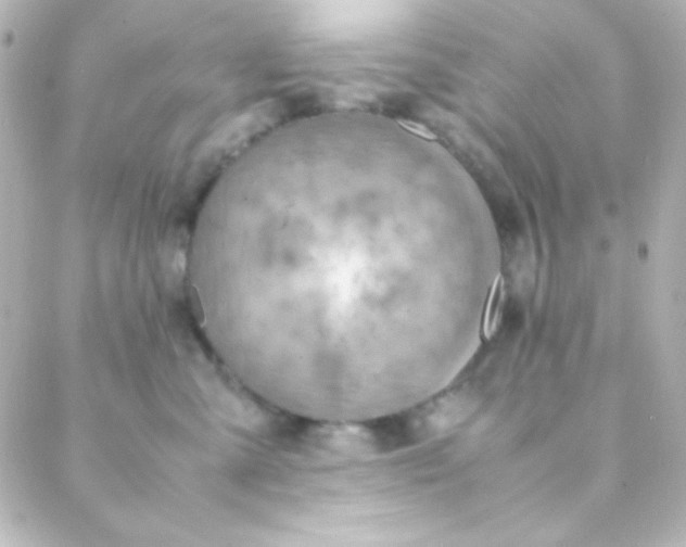 X0000088150427200705291427