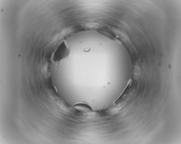 X0000088150428200705291427