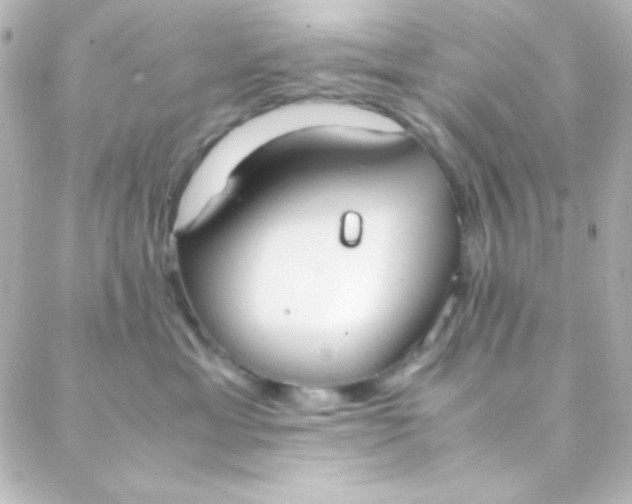 X0000088150429200705291427