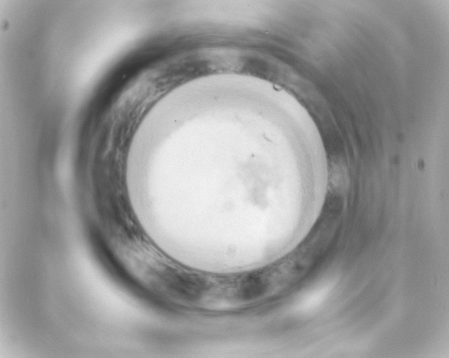 X0000088150431200705291427