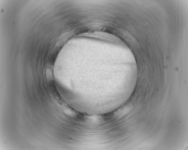 X0000088150432200705291427