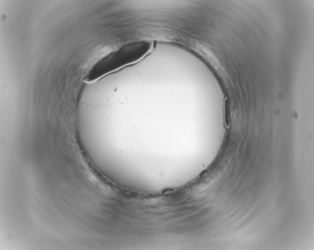 X0000088150433200705291426