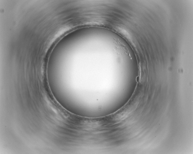 X0000088150435200705291426