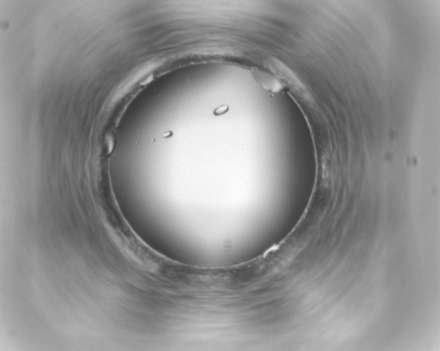 X0000088150436200705291426