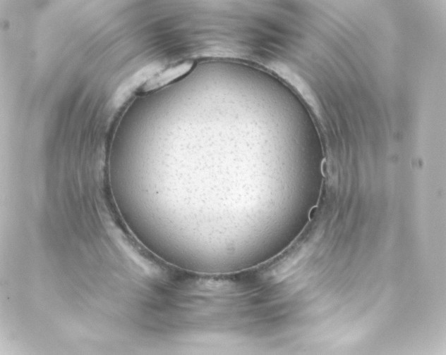 X0000088150437200705291426