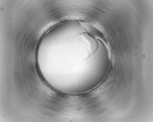 X0000088150438200705291426