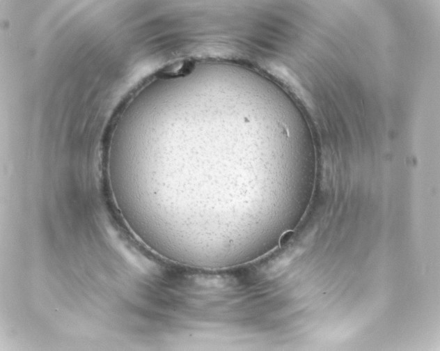 X0000088150439200705291426