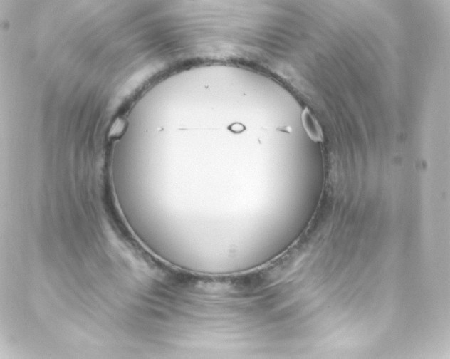 X0000088150440200705291427