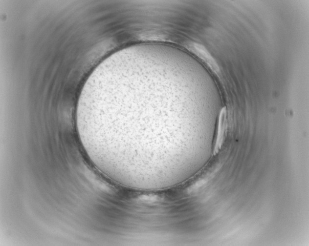 X0000088150441200705291427