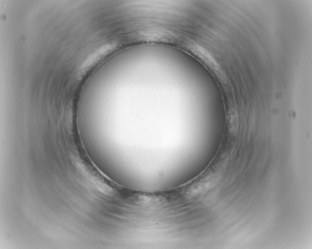 X0000088150442200705291427