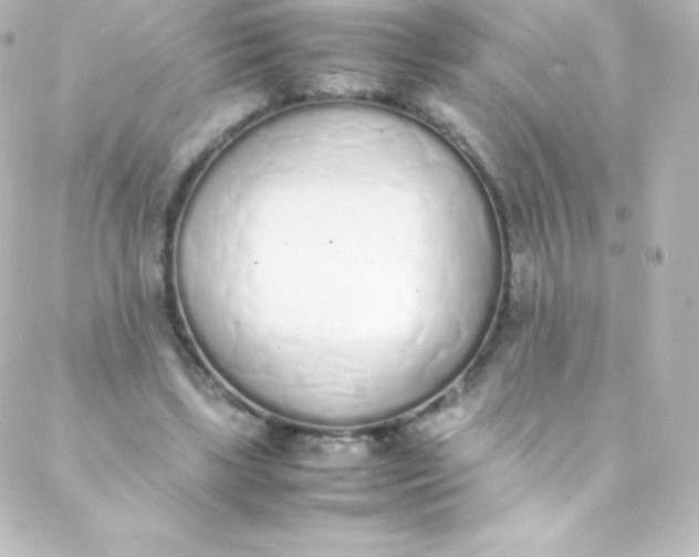 X0000088150443200705291427