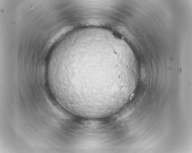 X0000088150444200705291427