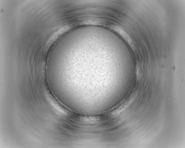 X0000088150445200705291427