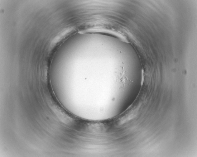 X0000088150446200705291427