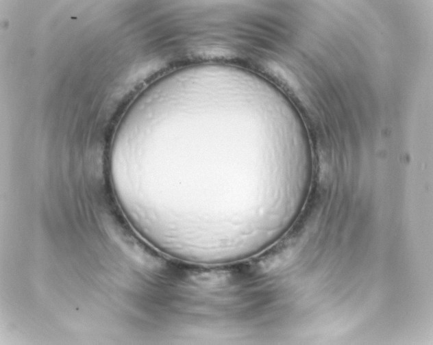 X0000088150447200705291427