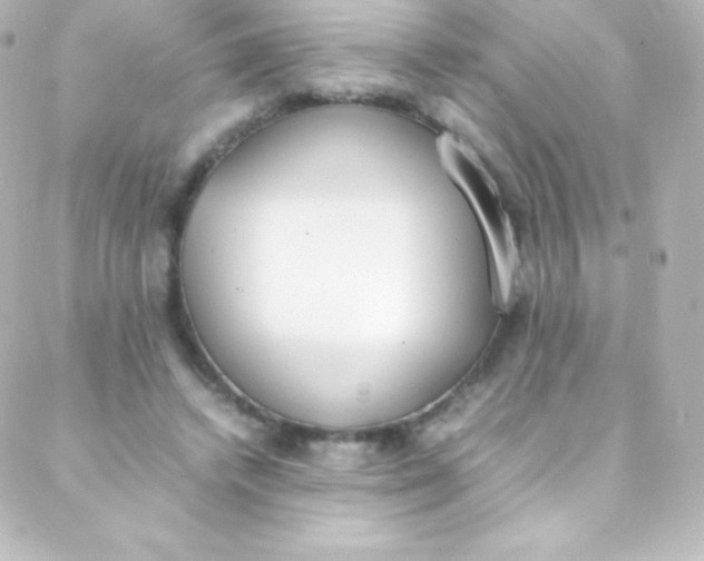 X0000088150448200705291427