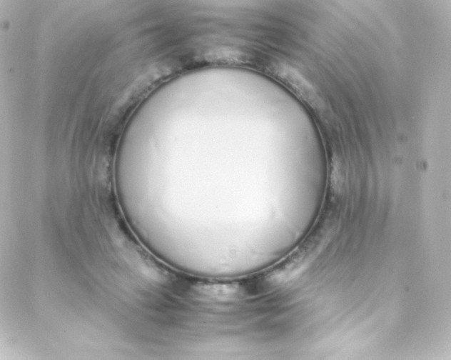 X0000088150449200705291427