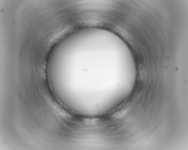 X0000088150450200705291427