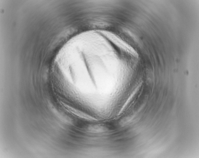 X0000088150451200705291427