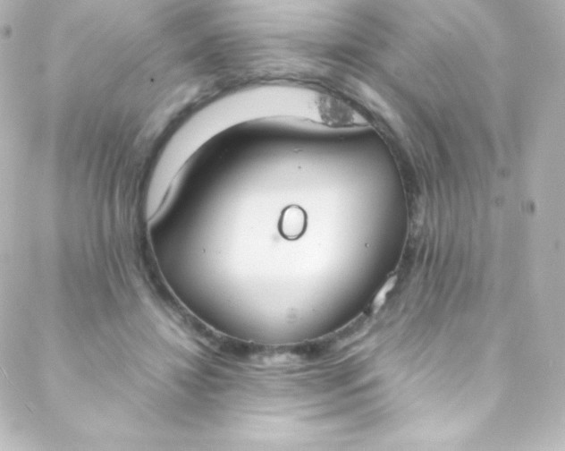 X0000088150452200705291427