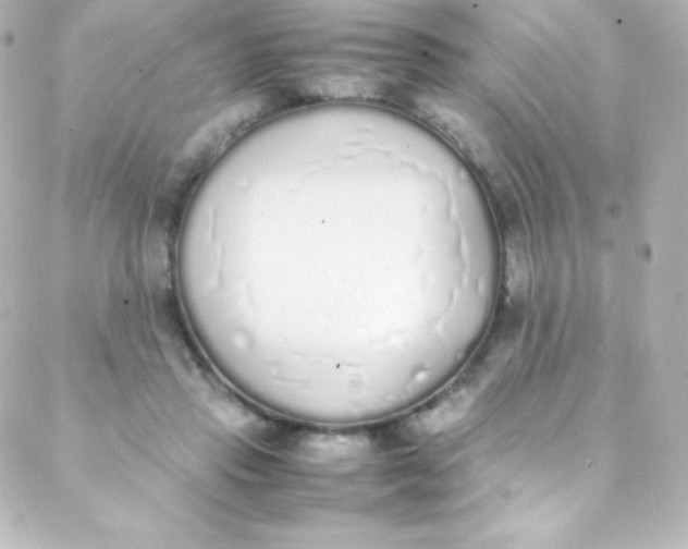 X0000088150453200705291427