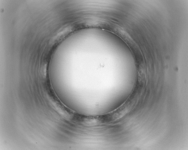 X0000088150454200705291427