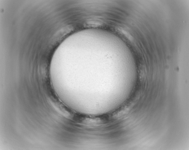 X0000088150455200705291427