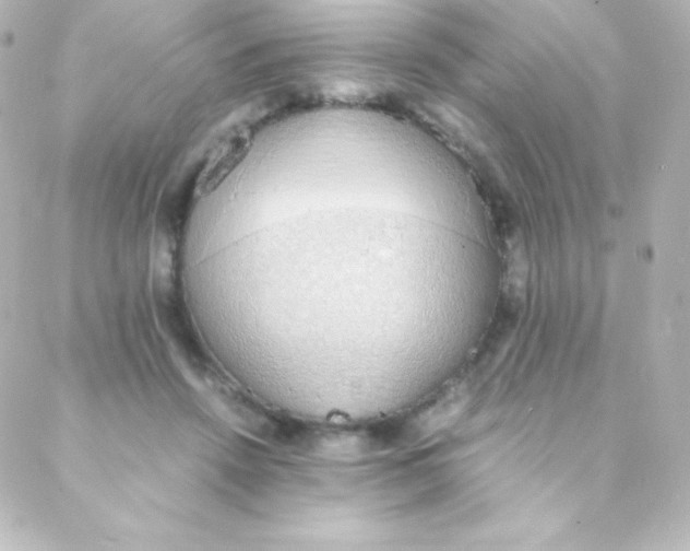 X0000088150456200705291427