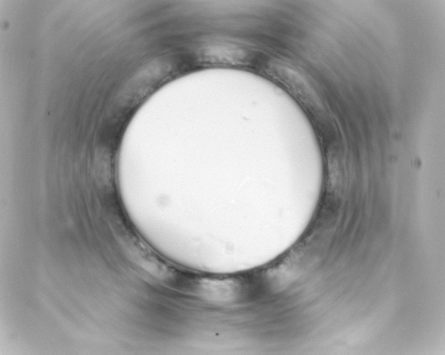 X0000088150457200705291427