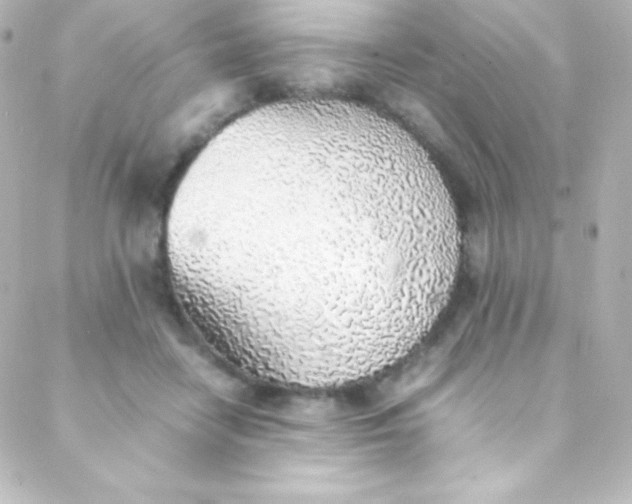 X0000088150458200705291427