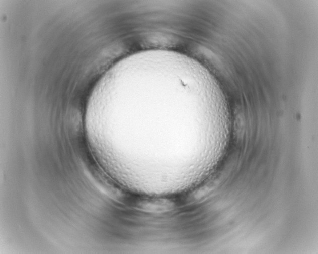 X0000088150459200705291427