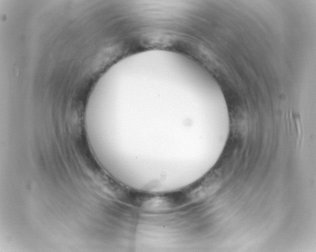 X0000088150460200705291427