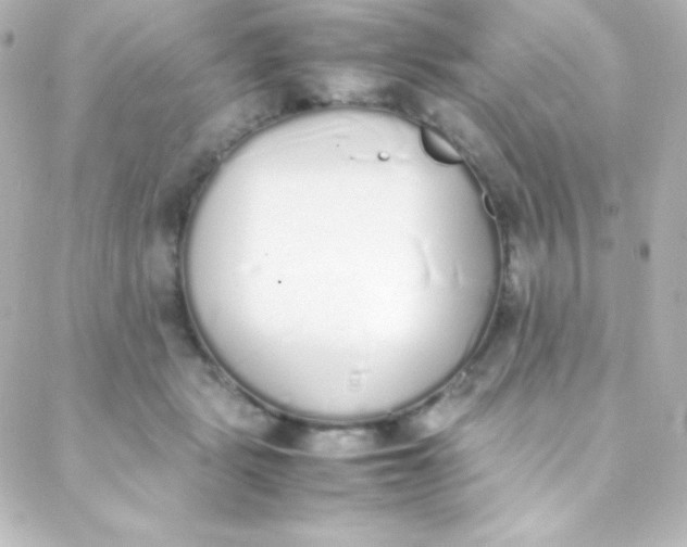 X0000088150461200705291427