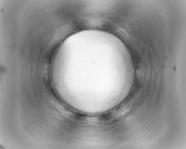 X0000088150462200705291427