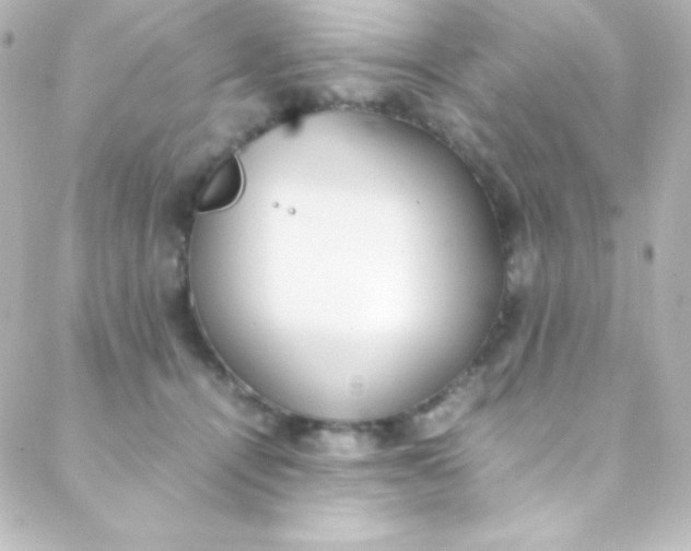 X0000088150464200705291427