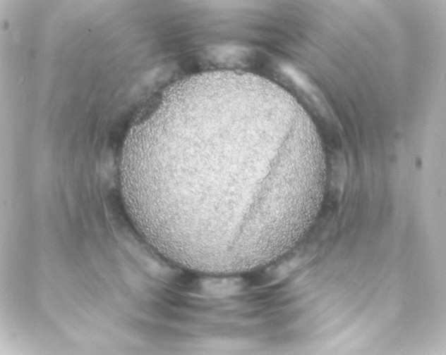 X0000088150465200705291427