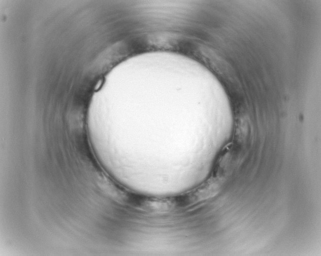 X0000088150466200705291427