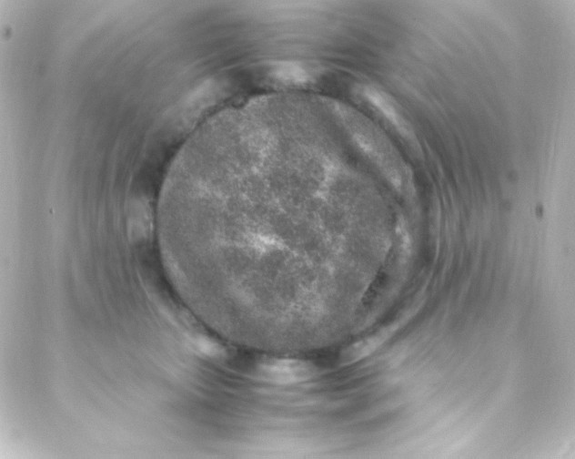 X0000088150467200705291427