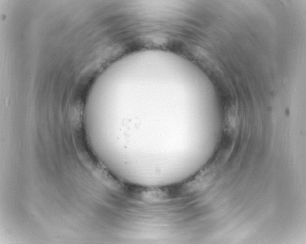 X0000088150468200705291427