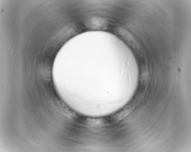 X0000088150469200705291427