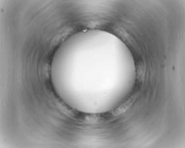 X0000088150470200705291427