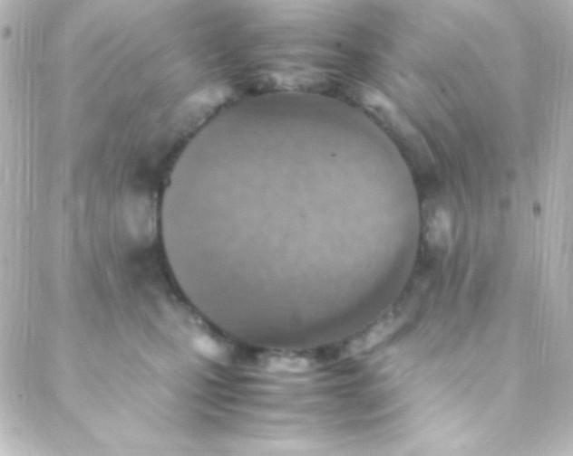 X0000088150471200705291427