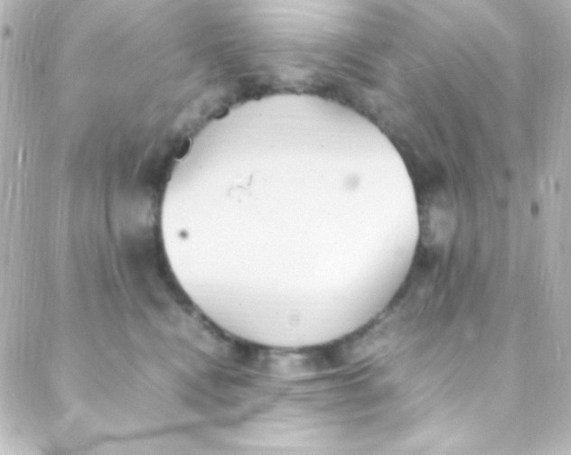 X0000088150472200705291427