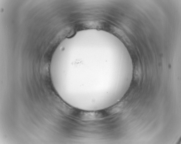 X0000088150473200705291427