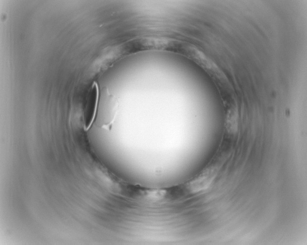 X0000088150474200705291427